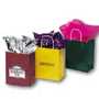 Gloss Finish Shopping Bag--Anna Marie
