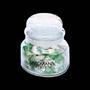 15 oz. Glass Apothecary Jar