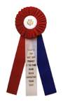 Rosette Ribbons--Single Pleat with Three Streamers