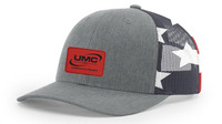 UMCCAP1