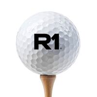 R1-245