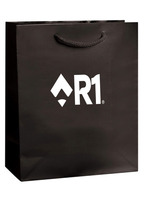 R1-321