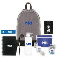 R1-D380
